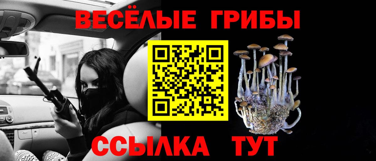 Галлюциногенные грибы Psilocybine cubensis Вышний Волочёк